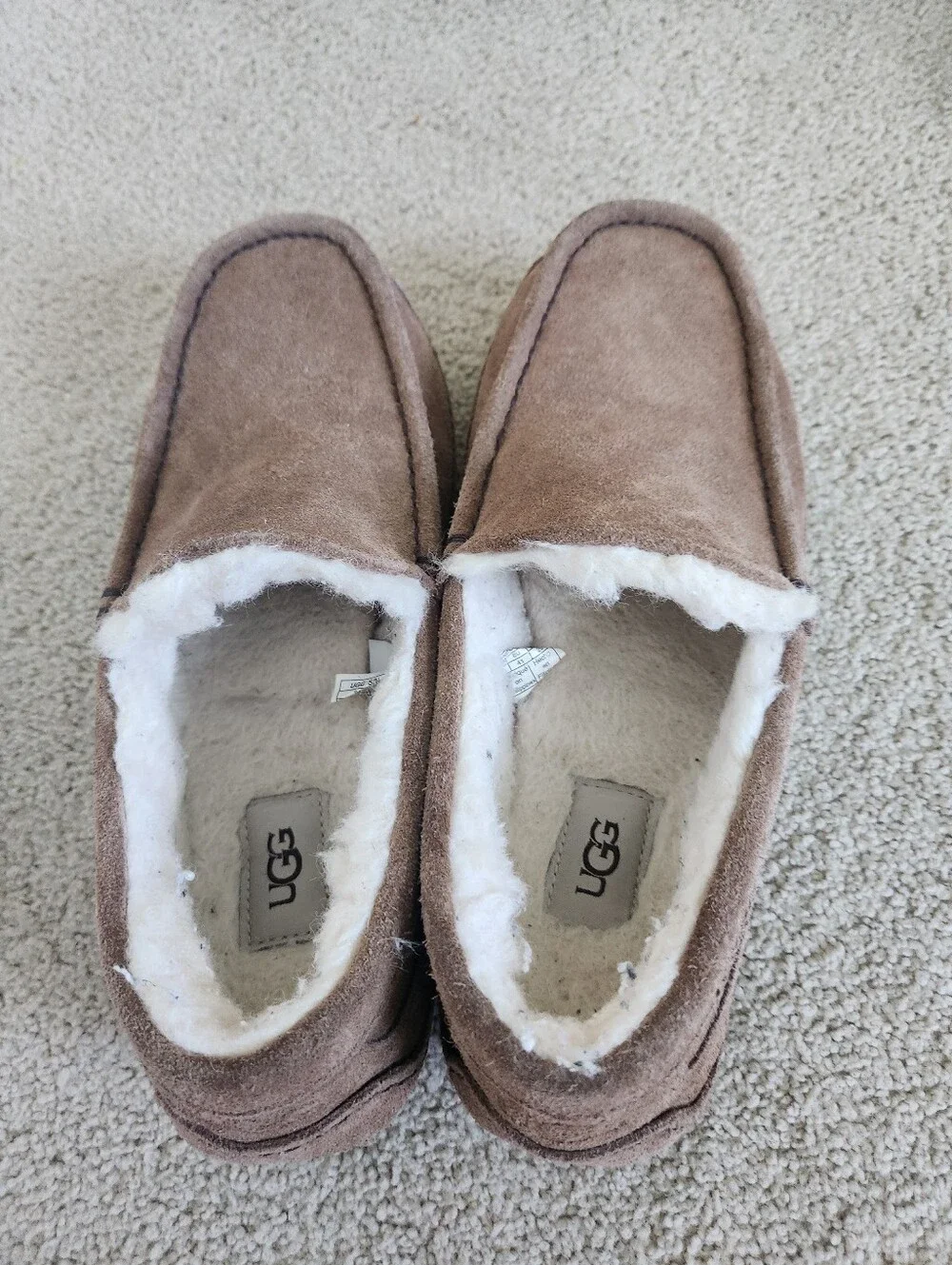 UGG Ascot Men’s Chestnut Suede Shearling-Lined Slip-On Slippers Loafers